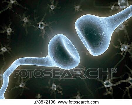 Stock Photo - Human synapse, compute artwork.. Fotosearch