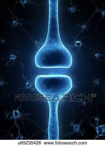 Stock Photograph - Human synapse, compute artwork.. Fotosearch