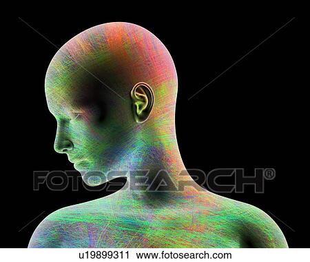 Stock Image - Illustration of a female head and shoulders, overlaid a network of coloured lines.. Fotosearch