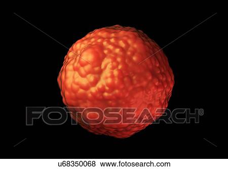 Stock Photo - Immune system cell, illustration.. Fotosearch