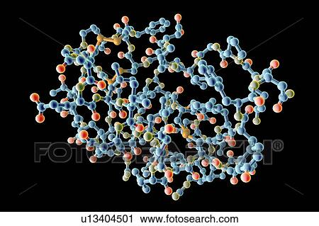 Stock Image - Insulin-like growth factor 1 (IGF-1), molecular model. IGFs are polypeptides that are similar in their molecular structure to insulin. IGF-1 is mainly secreted by the liver as a result of stimulation by growth hormone. In addition to acting in a.... Fotosearch