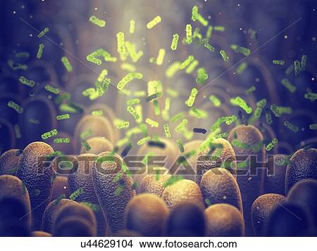 Picture - Intestinal bacteria, illustration.. Fotosearch