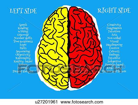 Left and right side of the human brain, illustration. View Large Photo Image Stock Image - Left and right side of the human brain, illustration.. Fotosearch