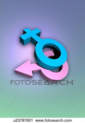 Male and female symbols, illustration. View Large Photo Image Stock Image - Male and female symbols, illustration.. Fotosearch
