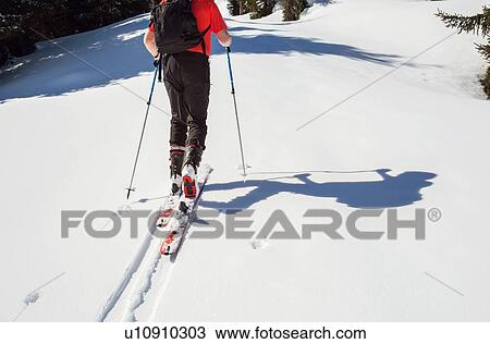 Stock Image - Mature male skier moving up in snow covered mountain, neck down rear view, Styria, Tyrol, Austria. Fotosearch