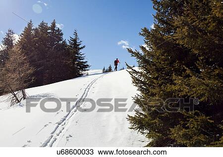 Mature male snowshoeing up snow covered mountain landscape, distant rear view, Styria, Tyrol, Austria View Large Photo Image Stock Image - Mature male snowshoeing up snow covered mountain landscape, distant rear view, Styria, Tyrol, Austria. Fotosearch