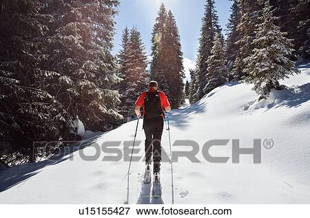 Stock Photo - Mature man snowshoeing in snow covered mountain forest, rear view, Styria, Tyrol, Austria. Fotosearch