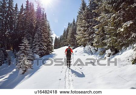Stock Photo - Mature man snowshoeing in snow covered mountain forest, rear view, Styria, Tyrol, Austria. Fotosearch