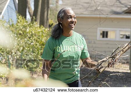 Mature woman volunteer collecting branches in garden View Large Photo Image Picture - Mature woman volunteer collecting branches in garden. Fotosearch