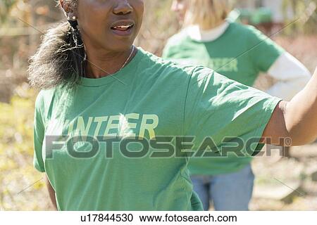 Mature woman volunteer in green t-shirt View Large Photo Image Stock Image - Mature woman volunteer in green t-shirt. Fotosearch