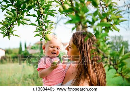 Stock Photography - Mother carrying toddler daughter under fruit tree, head and shoulder, Arezzo, Tuscany, Italy. Fotosearch