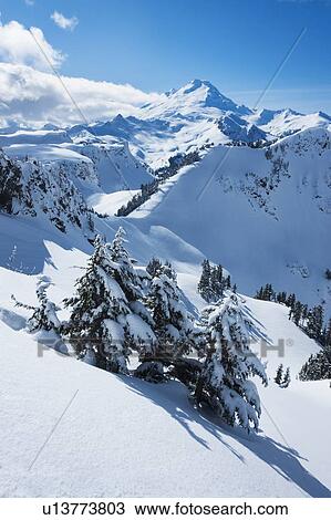 Mount Baker Ski Area in Washington State, USA View Large Photo Image Stock Image - Mount Baker Ski Area in Washington State, USA. Fotosearch