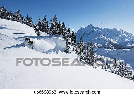 Stock Image - Mount Baker Ski Area in Washington State, USA. Fotosearch