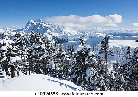 Mount Baker Ski Area in Washington State, USA View Large Photo Image Stock Photograph - Mount Baker Ski Area in Washington State, USA. Fotosearch