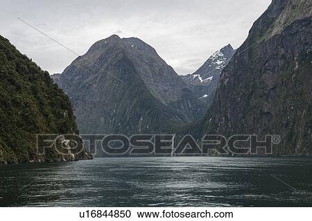 Mountains by sea in Milford Sound, New Zealand View Large Photo Image Stock Image - Mountains by sea in Milford Sound, New Zealand. Fotosearch