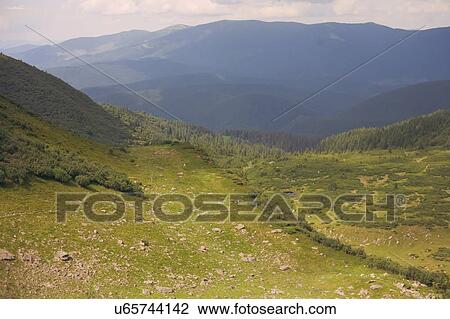 Mountains in the Carpathian Mountain Range View Large Photo Image Stock Image - Mountains in the Carpathian Mountain Range. Fotosearch