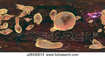 Picture - Mycoplasma genitalium bacteria, 360 degree panorama view, illustration. M. genitalium is a small parasitic bacterium. It is a sexually transmitted organism that causes non-gonococcal urethritis in men and several inflammatory reproductive tract.... Fotosearch