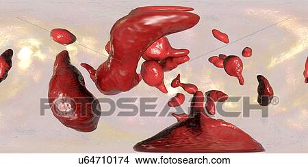 Picture - Mycoplasma genitalium bacteria, 360 degree panorama view, illustration. M. genitalium is a small parasitic bacterium. It is a sexually transmitted organism that causes non-gonococcal urethritis in men and several inflammatory reproductive tract.... Fotosearch