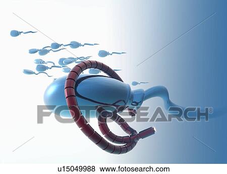 Nano sperm, illustration. View Large Photo Image Stock Photo - Nano sperm, illustration.. Fotosearch