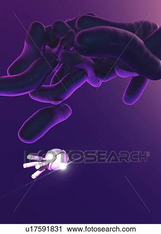 Stock Image - Nanobot attacking bacteria, illustration.. Fotosearch