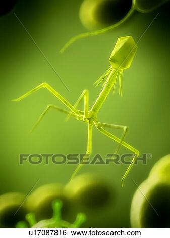 Nanobot, computer illustration. View Large Photo Image Stock Photograph - Nanobot, computer illustration.. Fotosearch