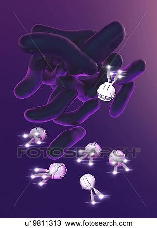 Stock Image - Nanobots attacking bacteria, illustration.. Fotosearch