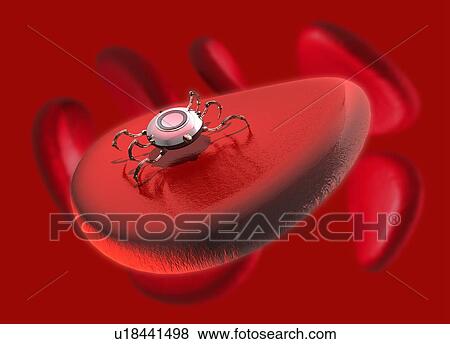 Nanorobot on red blood cell, illustration. View Large Photo Image Stock Photo - Nanorobot on red blood cell, illustration.. Fotosearch
