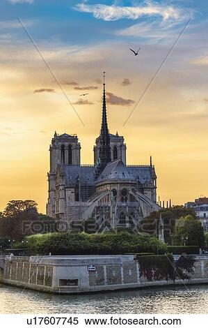 Stock Photography - Notre-Dame, Paris, France. Fotosearch