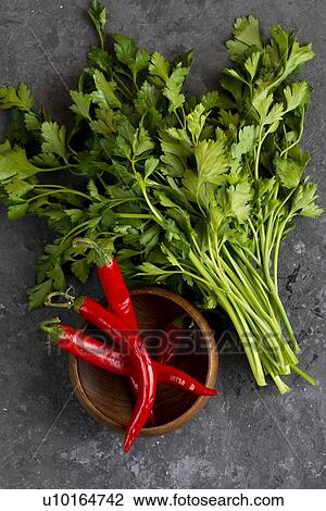 Stock Image - Parsley with chili peppers in bowl. Fotosearch