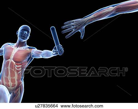 Picture - Person passing a relay baton, computer artwork.. Fotosearch