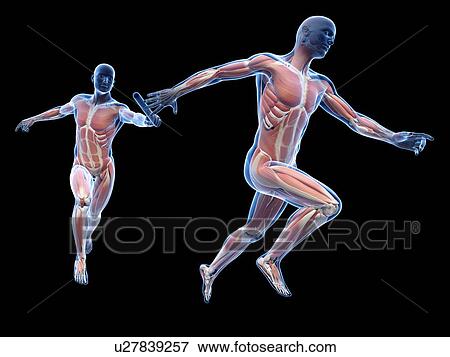 Stock Photo - Person passing a relay baton, computer artwork.. Fotosearch