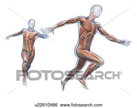 Person passing a relay baton, computer artwork. View Large Photo Image Stock Photograph - Person passing a relay baton, computer artwork.. Fotosearch
