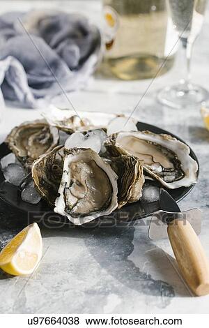 Plate of oysters with lemon View Large Photo Image Stock Photo - Plate of oysters with lemon. Fotosearch