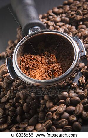 Portafilter holding ground coffee on roasted coffee beans View Large Photo Image Stock Photograph - Portafilter holding ground coffee on roasted coffee beans. Fotosearch