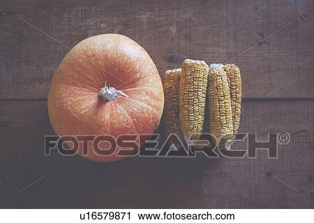 Pumpkin and corn cobs View Large Photo Image Stock Image - Pumpkin and corn cobs. Fotosearch