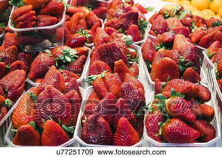 Stock Photo - Punnets of strawberries. Fotosearch