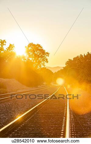 Railroad tracks bathed in sunlight during sunset View Large Photo Image Stock Image - Railroad tracks bathed in sunlight during sunset. Fotosearch