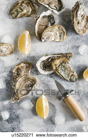 Raw oysters with lemon View Large Photo Image Stock Image - Raw oysters with lemon. Fotosearch