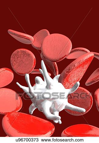 Stock Image - Red and white blood cells, illustration.. Fotosearch