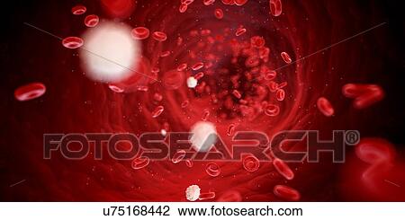 Red blood cells, computer illustration. View Large Photo Image Stock Image - Red blood cells, computer illustration.. Fotosearch