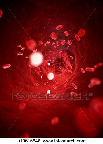 Red blood cells, computer illustration. View Large Photo Image Stock Photograph - Red blood cells, computer illustration.. Fotosearch