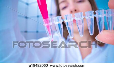 Stock Image - Researcher pipetting sample.. Fotosearch