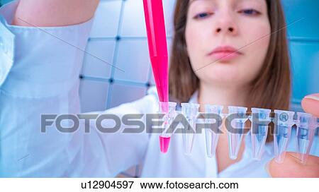 Researcher pipetting sample. View Large Photo Image Stock Photo - Researcher pipetting sample.. Fotosearch
