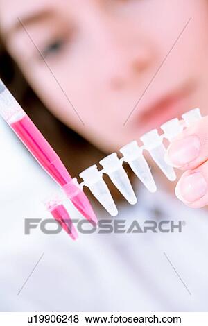 Stock Photo - Researcher pipetting sample.. Fotosearch