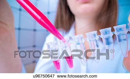 Stock Photo - Researcher pipetting sample.. Fotosearch