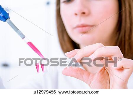 Stock Photograph - Researcher pipetting sample.. Fotosearch