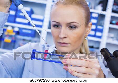 Stock Photograph - Researcher pipetting sample.. Fotosearch