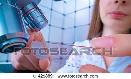 Researcher using microscope. View Large Photo Image Stock Image - Researcher using microscope.. Fotosearch