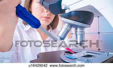 Stock Image - Researcher using microscope.. Fotosearch