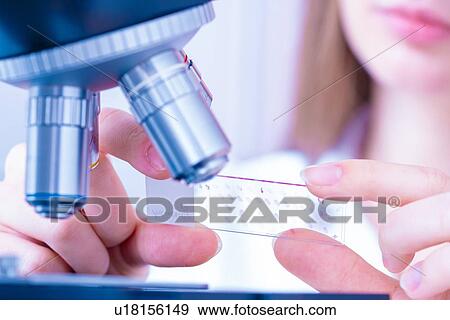Researcher using microscope. View Large Photo Image Stock Photo - Researcher using microscope.. Fotosearch